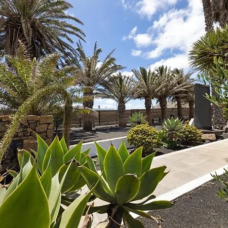 Palmeras